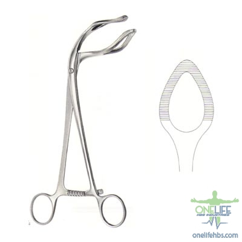 Upper Centrals and Canines