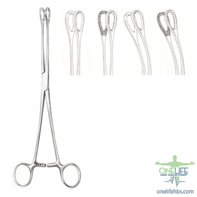 Upper Centrals and Canines